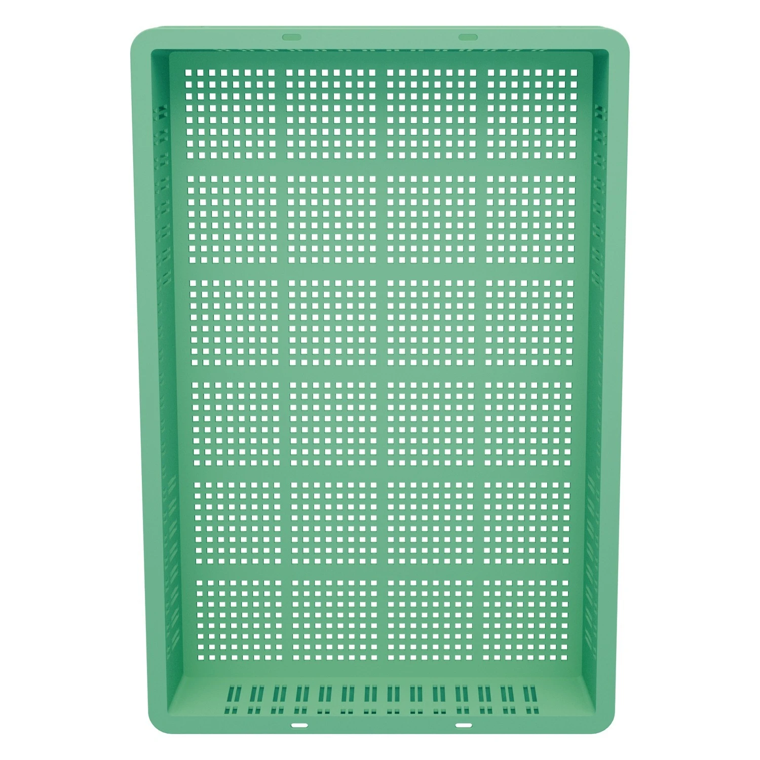8-000000208