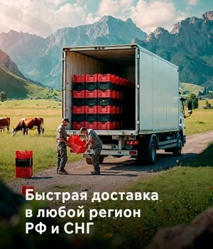 Быстрая доставка в любой регион РФ и СНГ