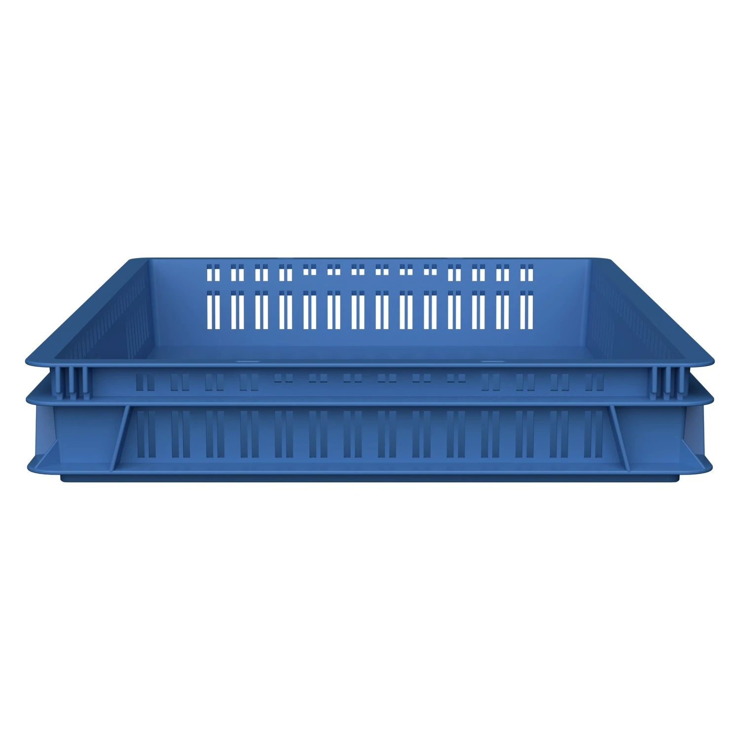 8-000000443