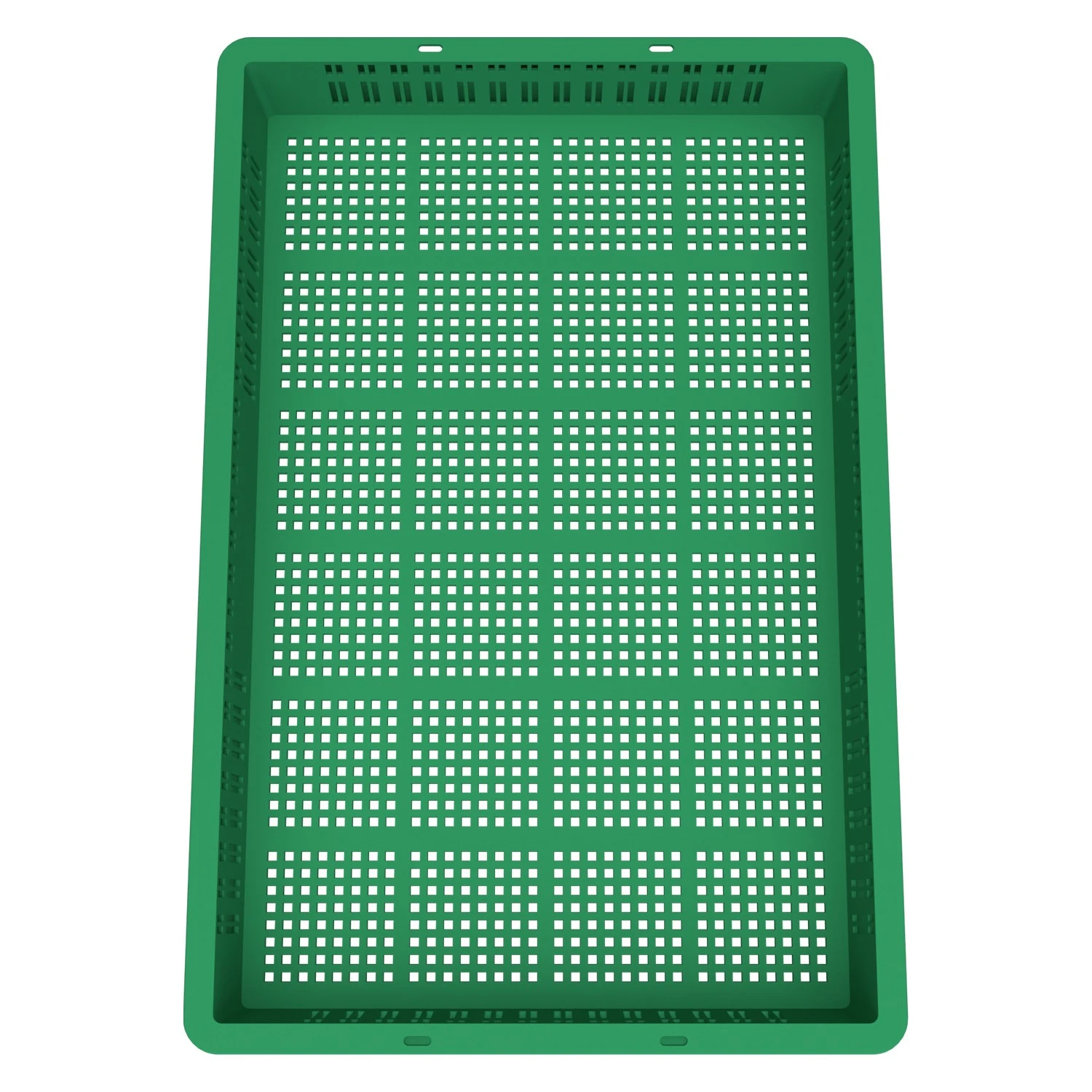 8-000000208