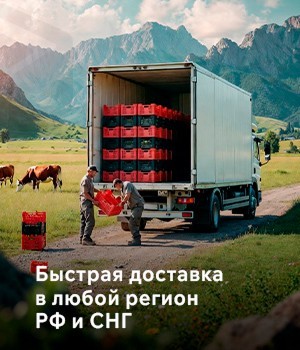 Быстрая доставка в любой регион РФ и СНГ Быстрая доставка в любой регион РФ и СНГ